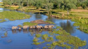 Rangers foil poaching in the Mid-Zambezi