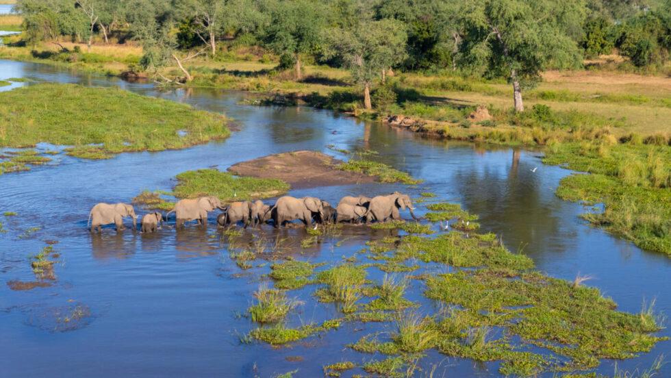 Rangers foil poaching in the Mid-Zambezi